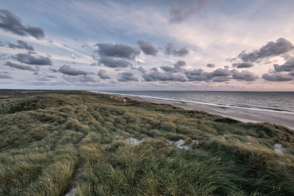 Jutland west coast dunes and beach