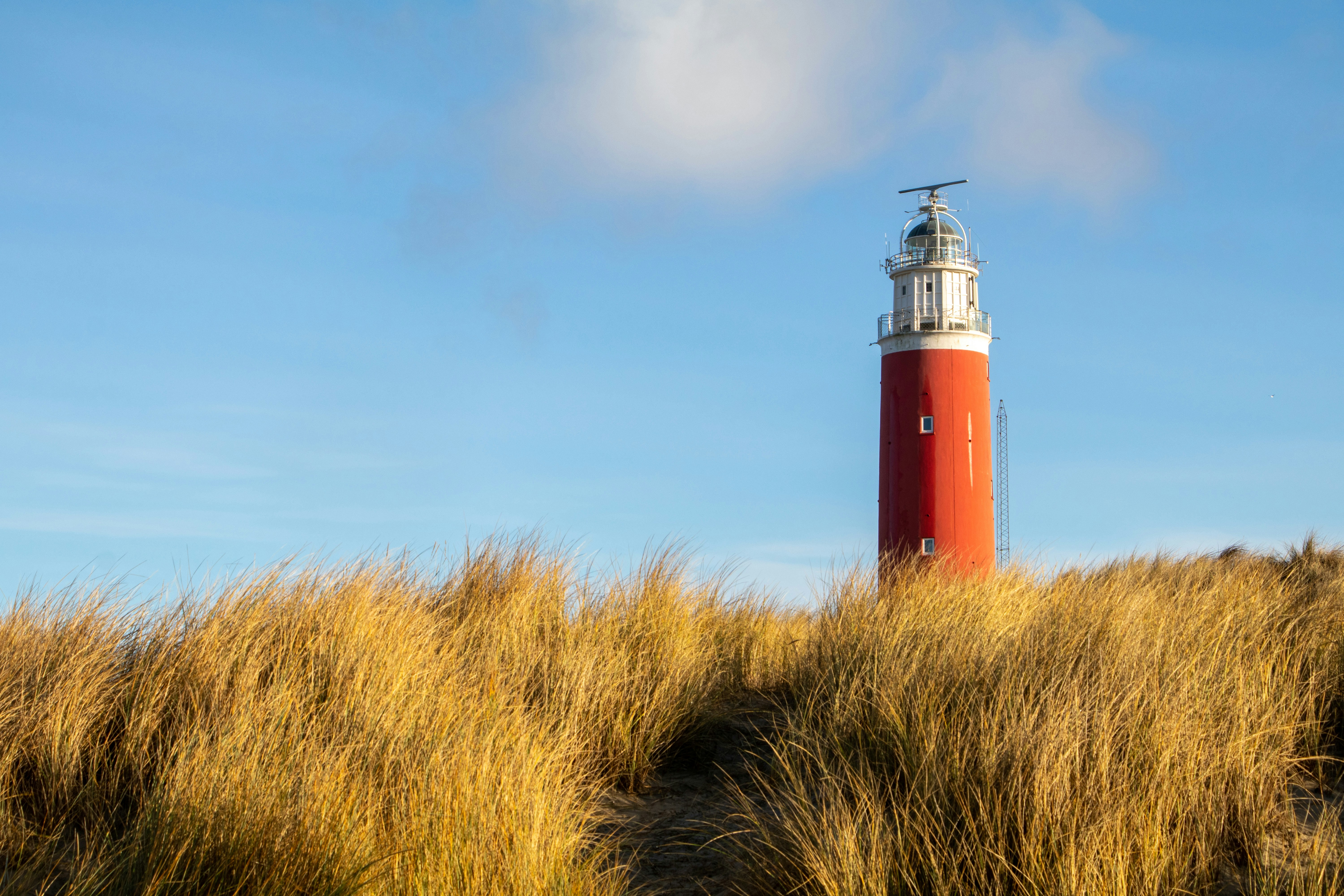 Texel beach and dunes