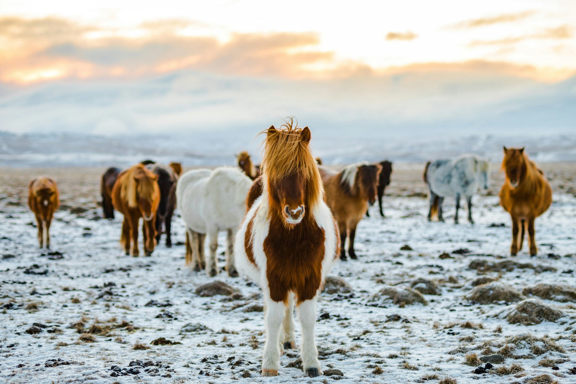 Iceland landscape